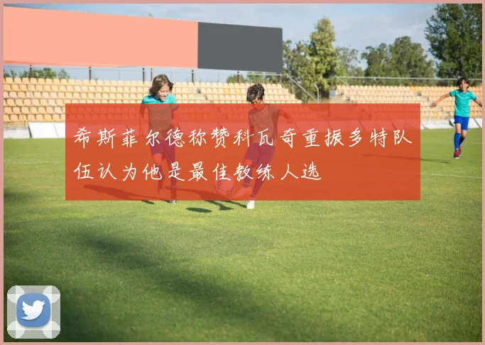 希斯菲尔德称赞科瓦奇重振多特队伍认为他是最佳教练人选
