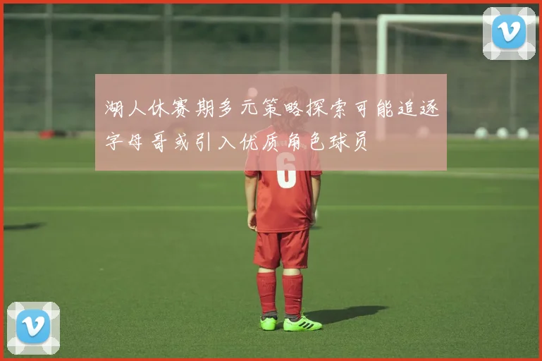湖人休赛期多元策略探索可能追逐字母哥或引入优质角色球员